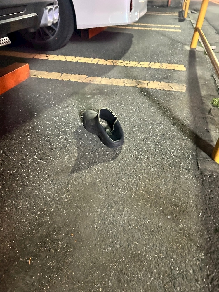 宇都宮 もえ