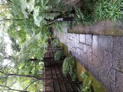 長谷川 梨奈