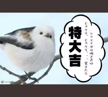 ひな