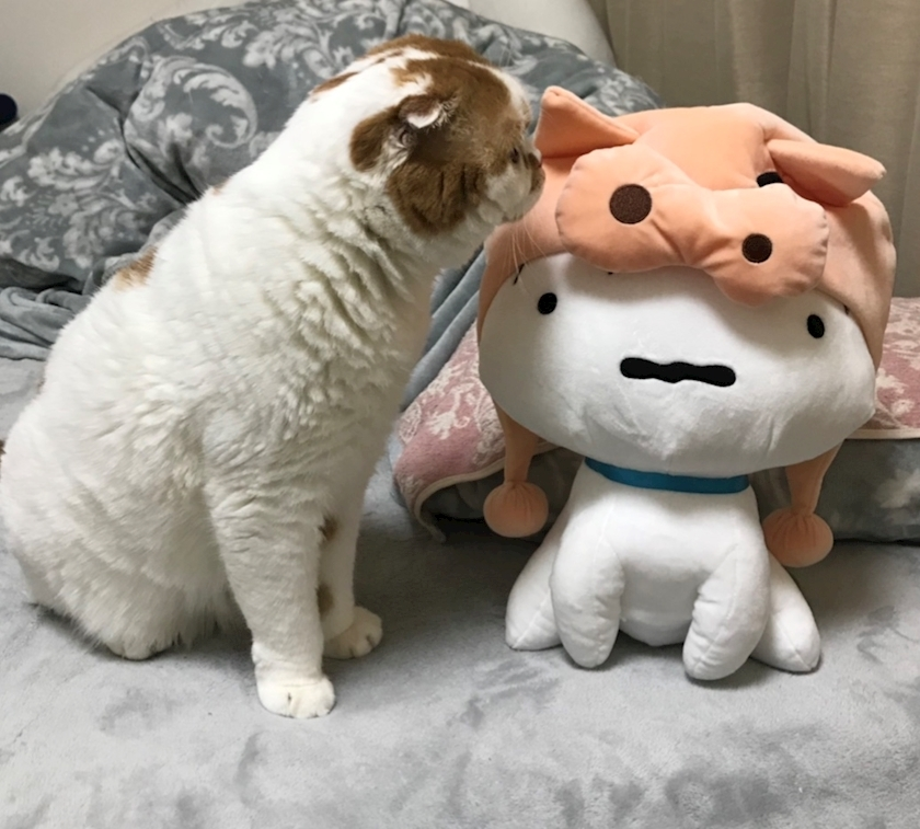 れみ