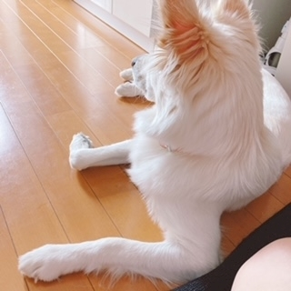 京 さゆみ