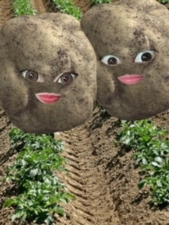 あい