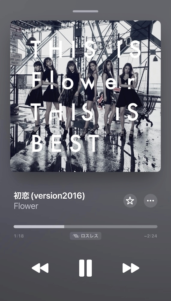 芹奈