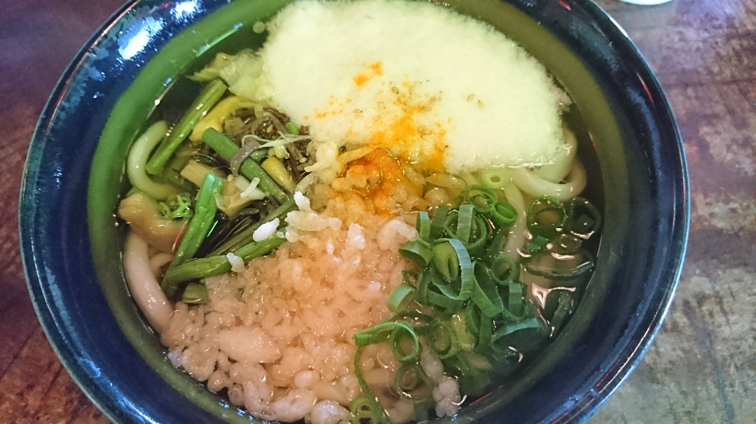 五条 椿