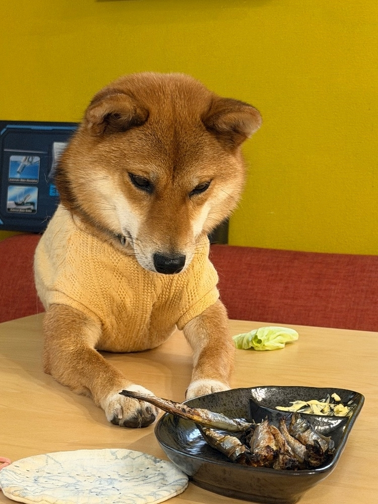 せら
