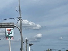やよい