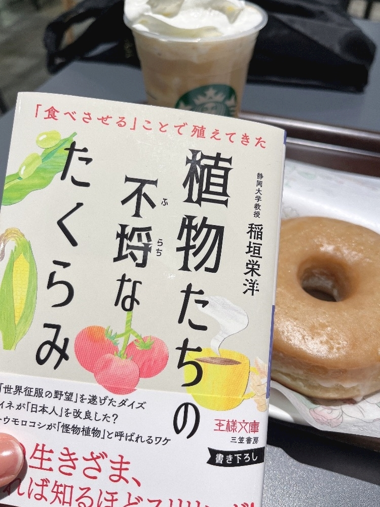 エリカ