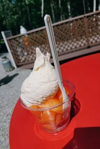 ひな