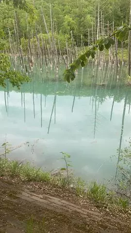 長瀬 純恋