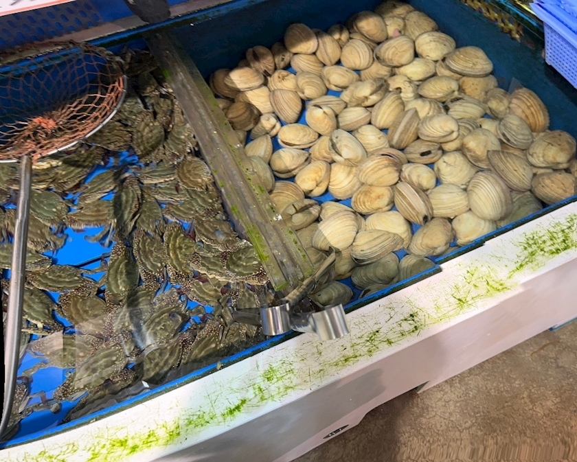 ナミ
