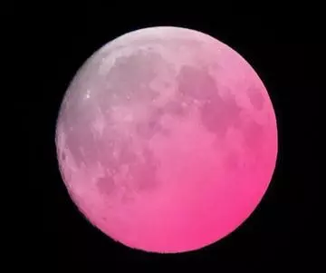 白石 愛莉