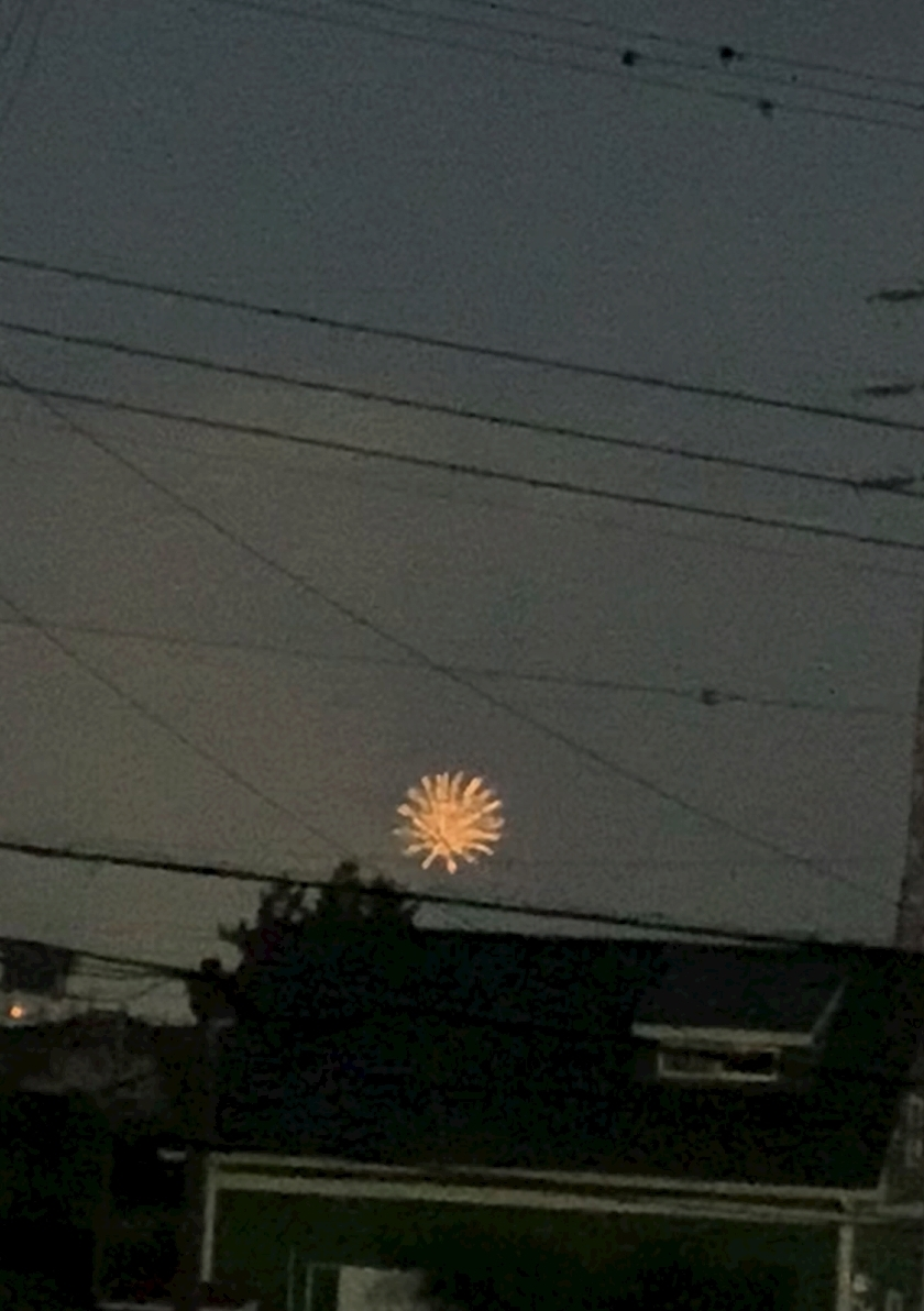 なのか