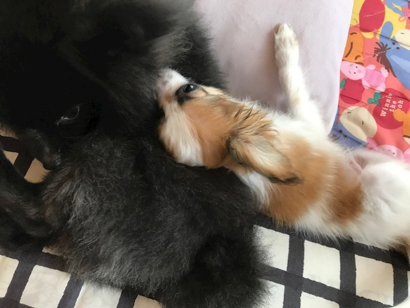 ティナ