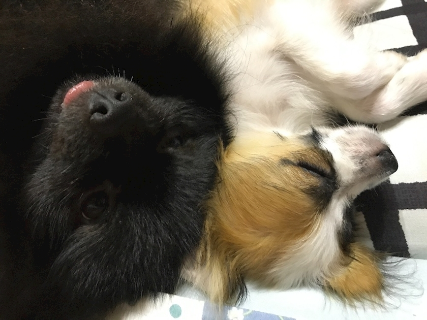 ティナ