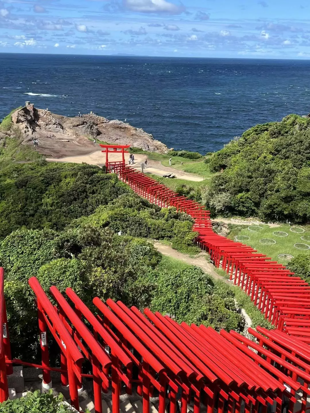 あおい