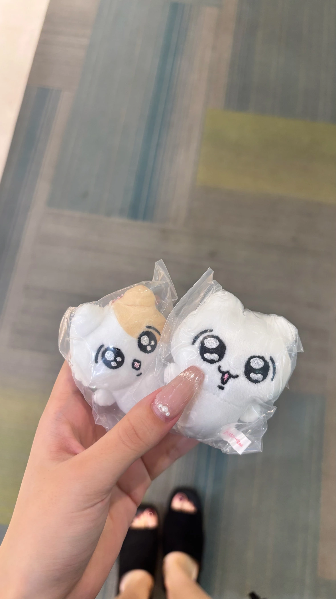 かずは
