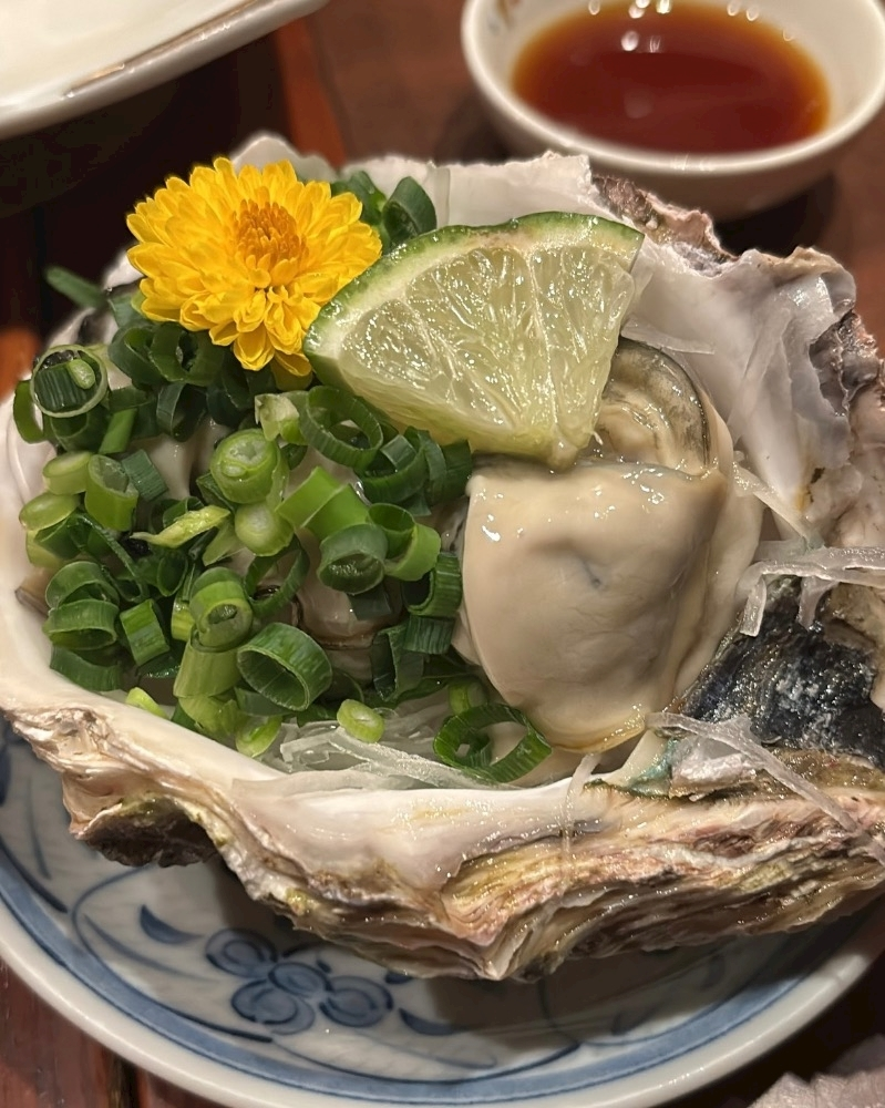 陽向 もみじ