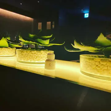 あやの