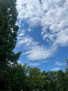 成海 まお