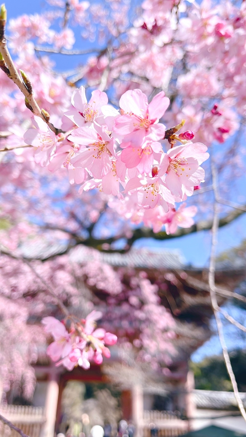 ゆあ