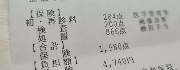 ひな