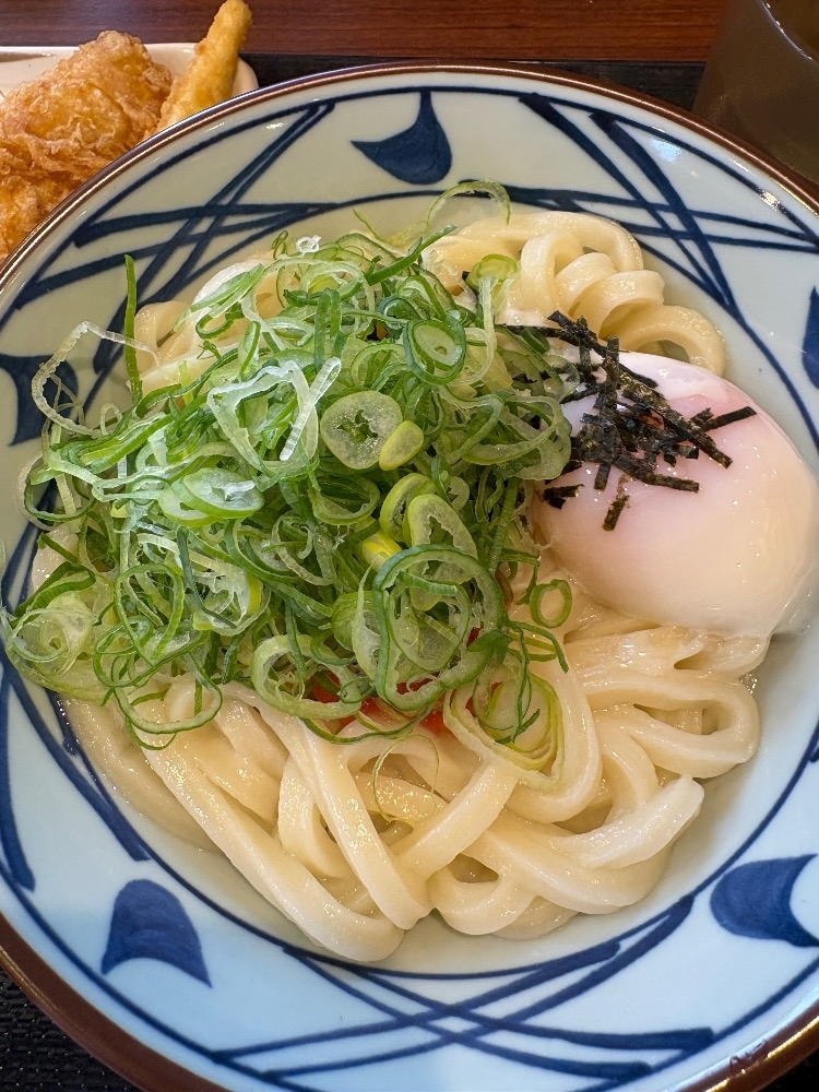 佐野 エマ