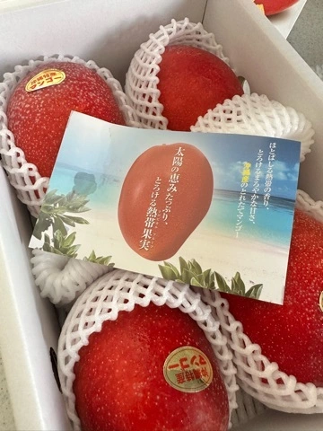 まみ