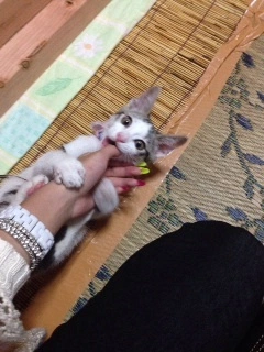 ゆま(20)