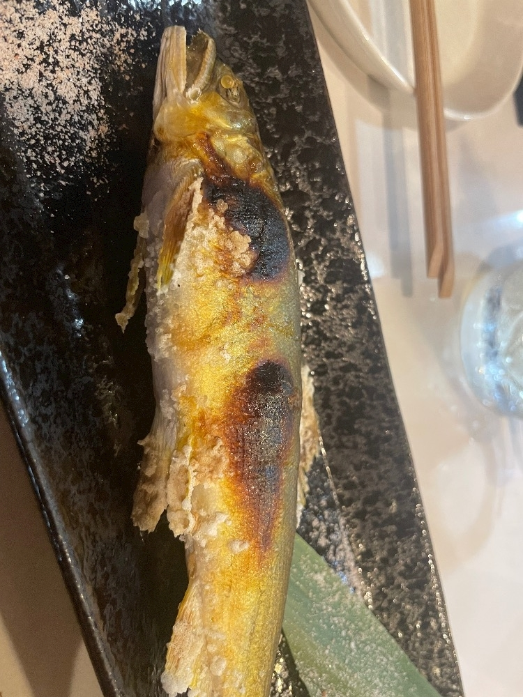 神崎 かんな