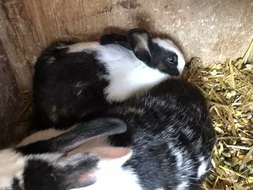 長瀬 純恋