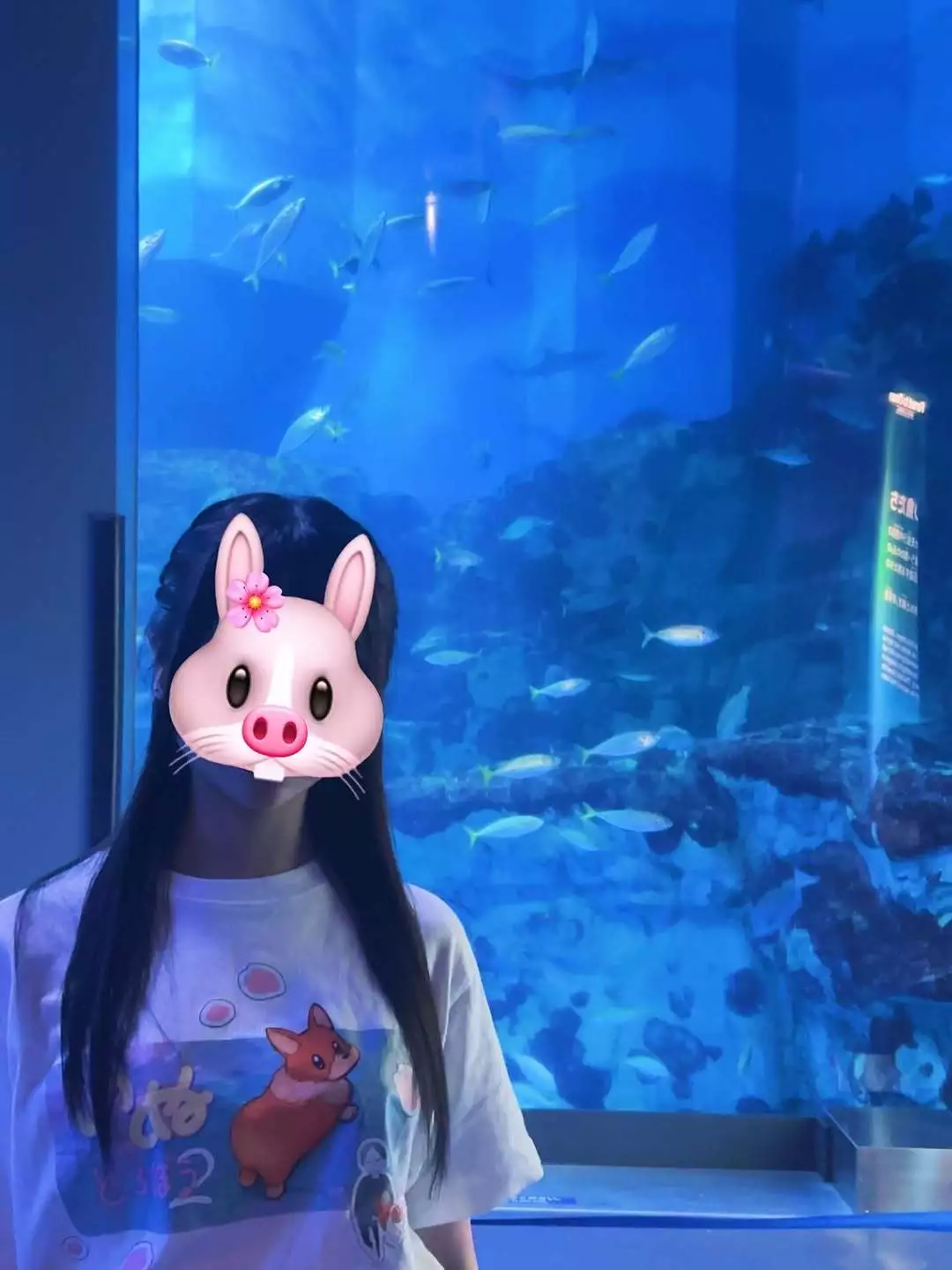サヤ