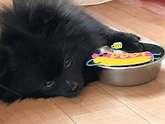 ティナ