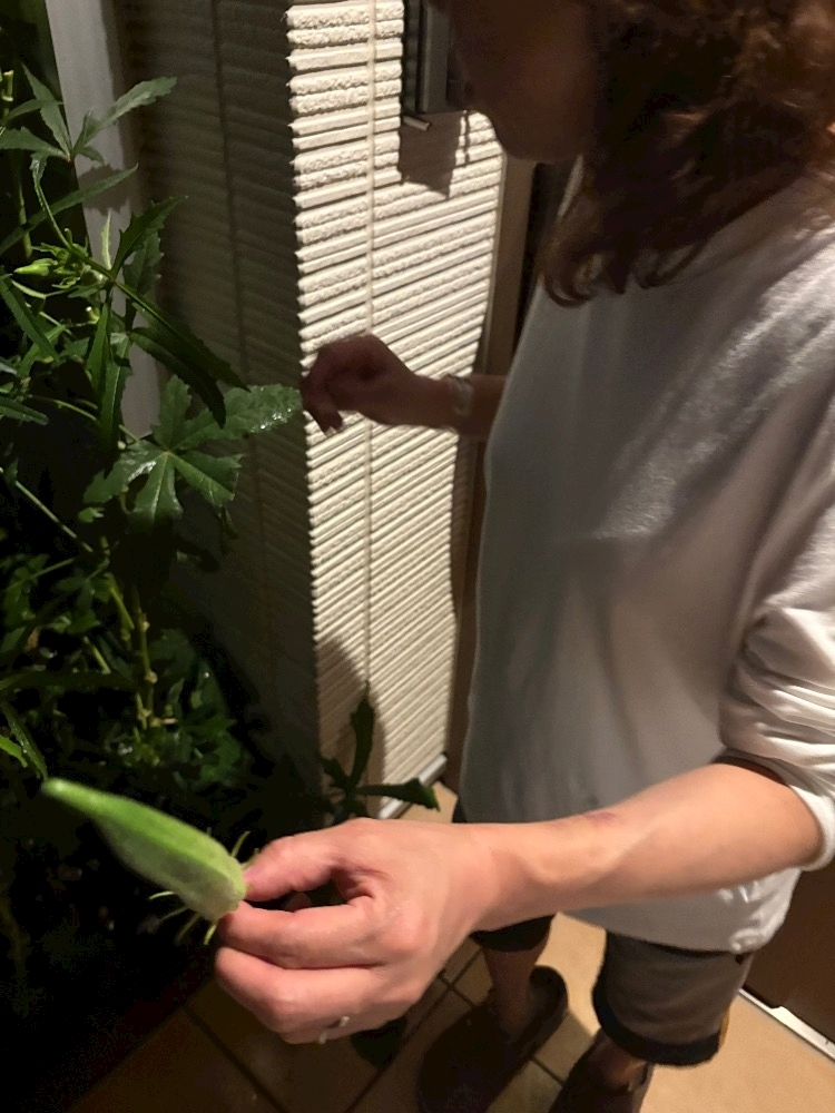 えりな