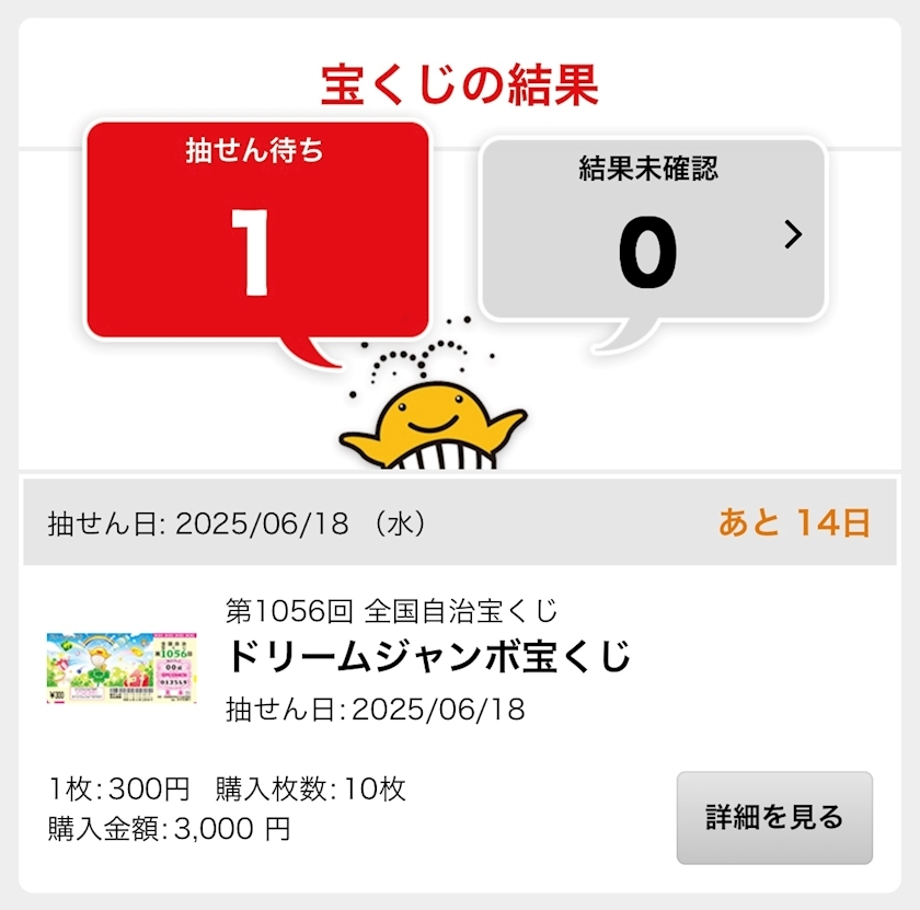 辻 みなみ