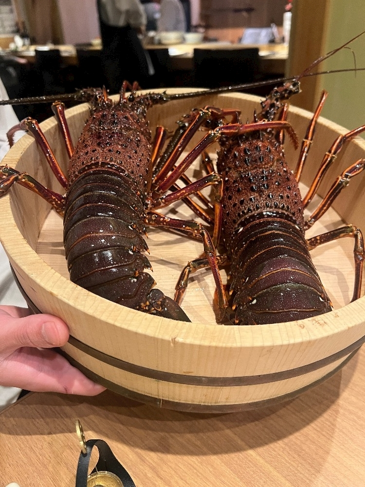 七星 舞冬