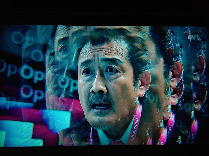 五条 椿