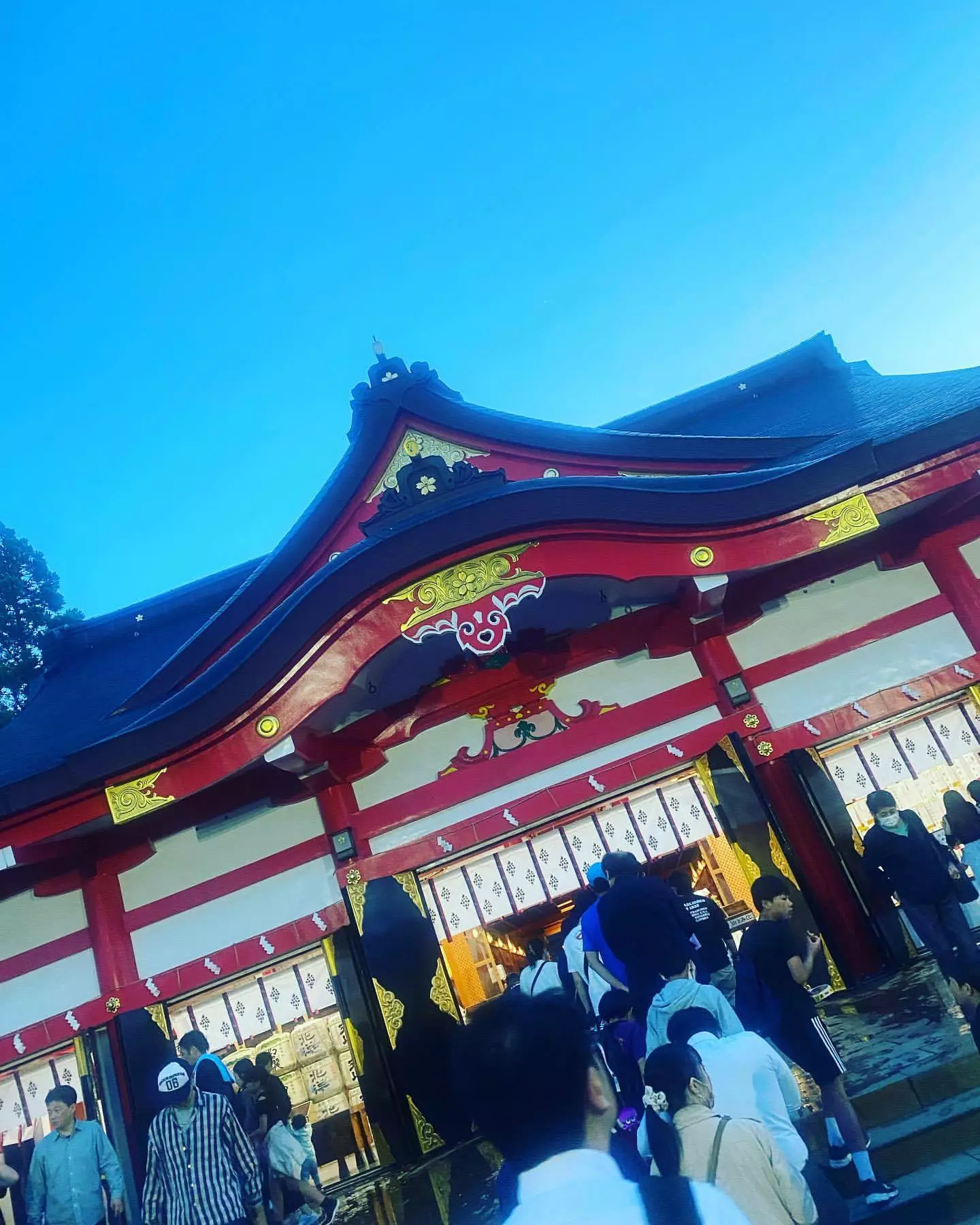 桃園 かんな
