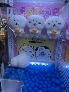 春咲 るい