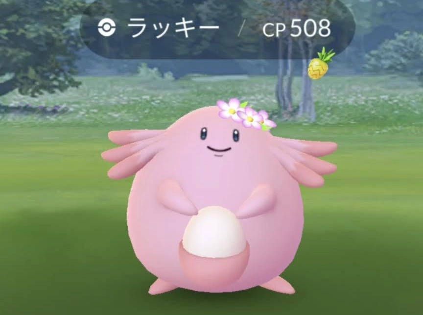 五条 椿
