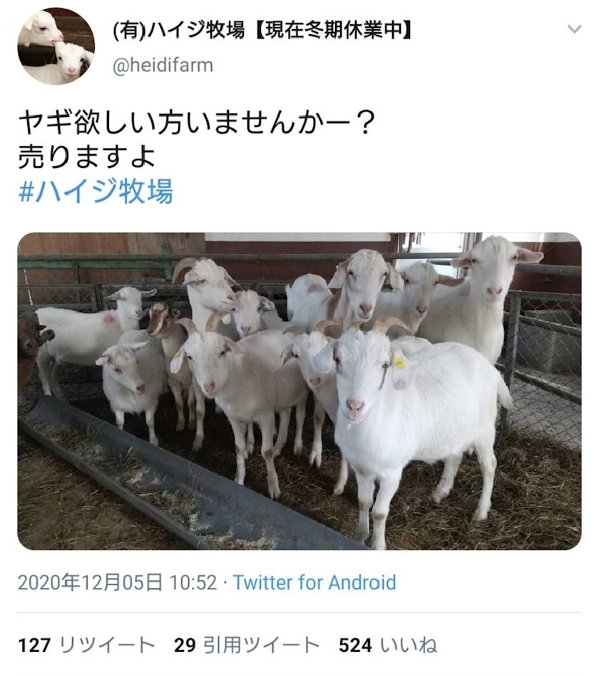 のはら かすみ