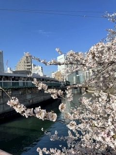 しゅり