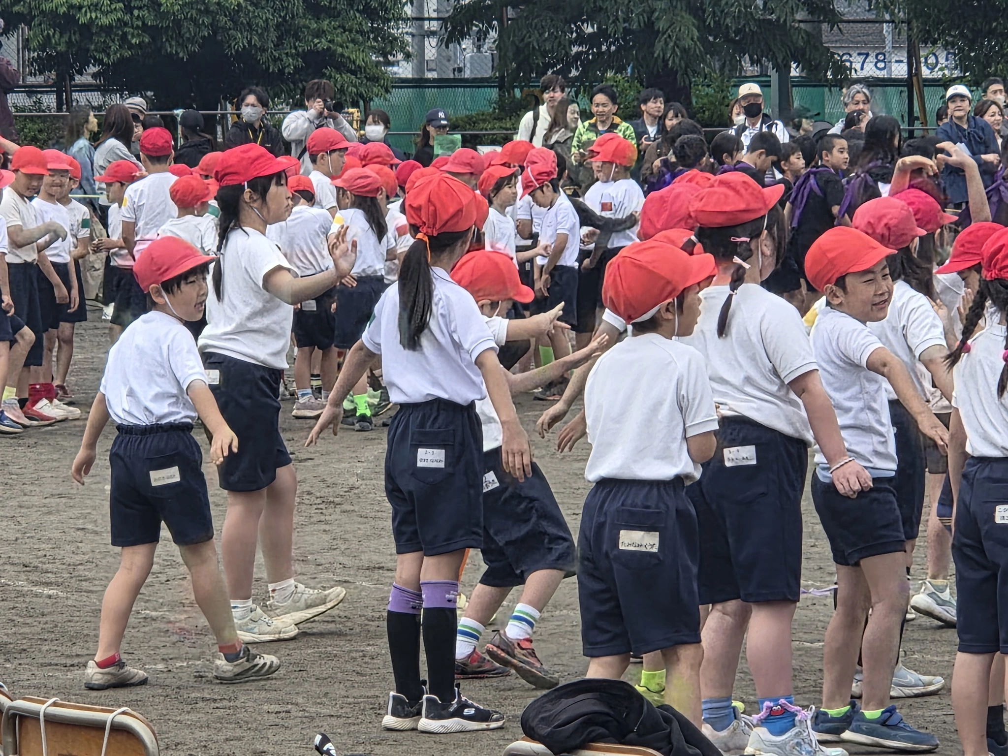 あおい