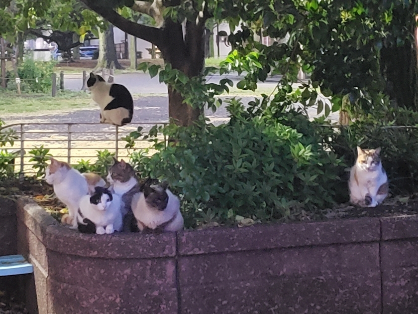 エミ （スタッフ）