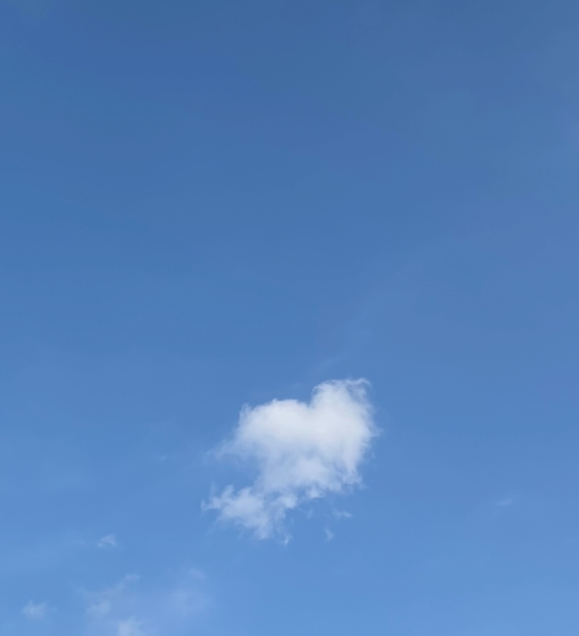 しずか