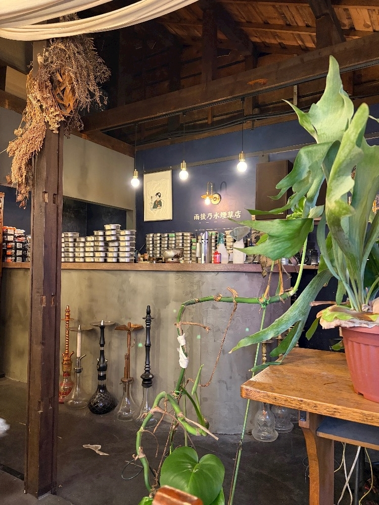 芹沢 莉瀬