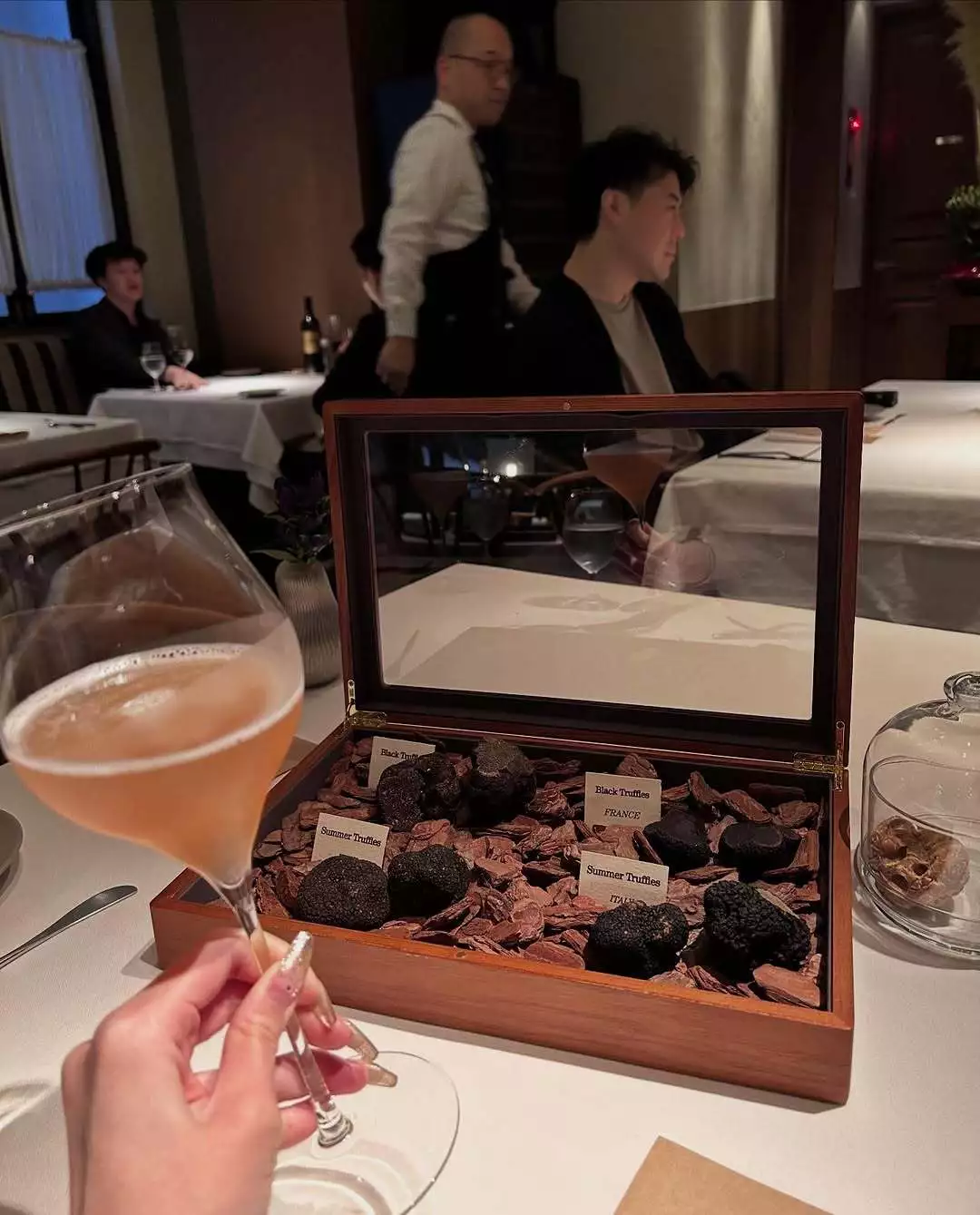 舞桜