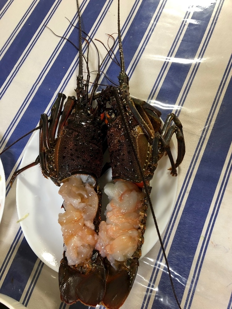 朝倉 しおり