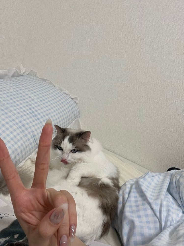 辻 みなみ