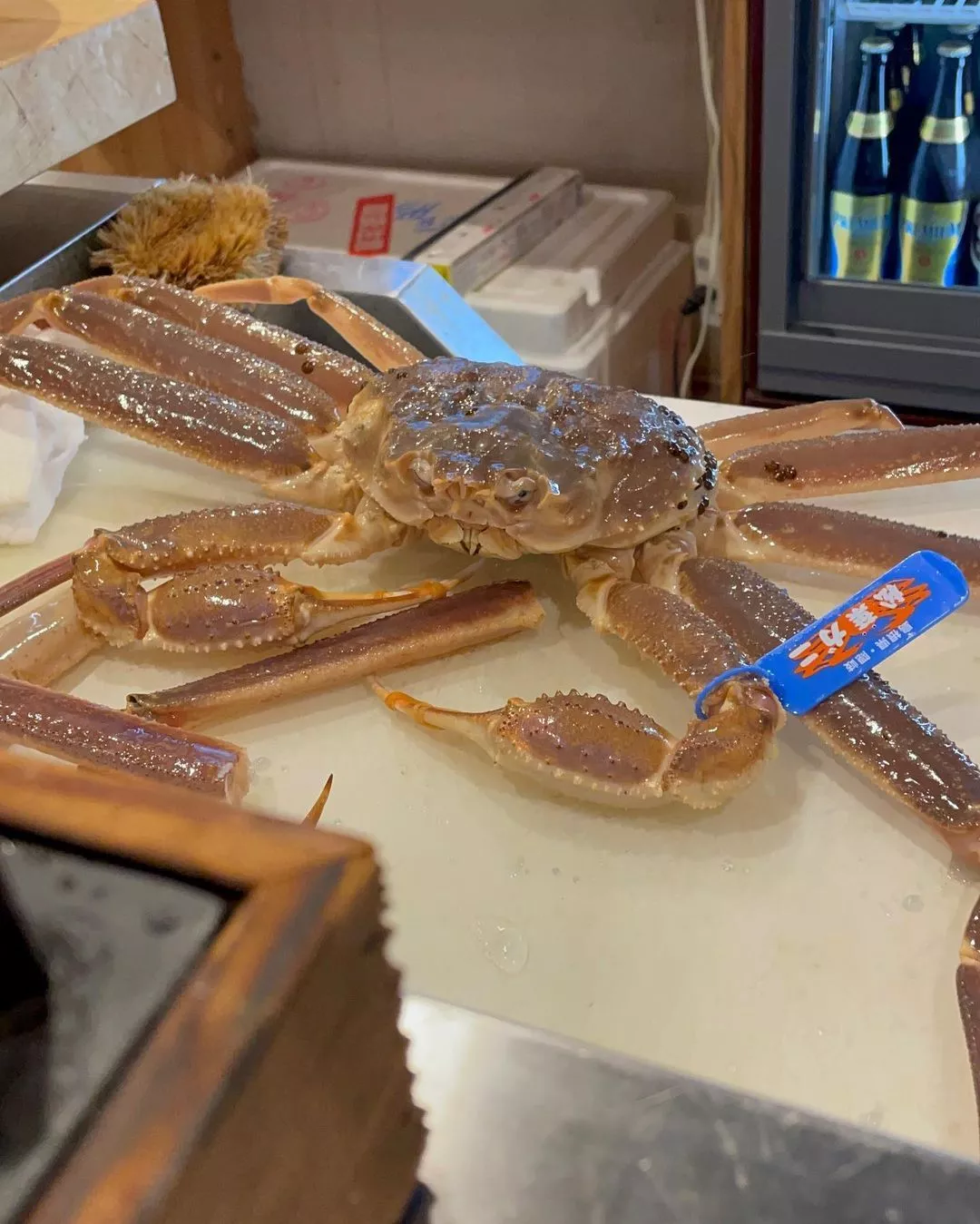 麻貴