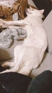京 さゆみ